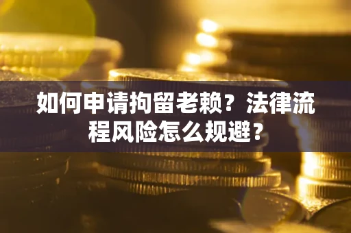 武汉如何申请拘留老赖？法律流程风险怎么规避？