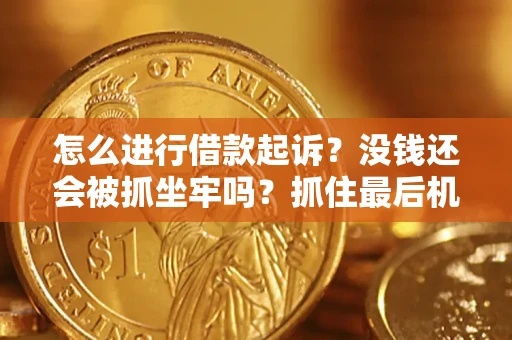 武汉怎么进行借款起诉？没钱还会被抓坐牢吗？抓住最后机会！
