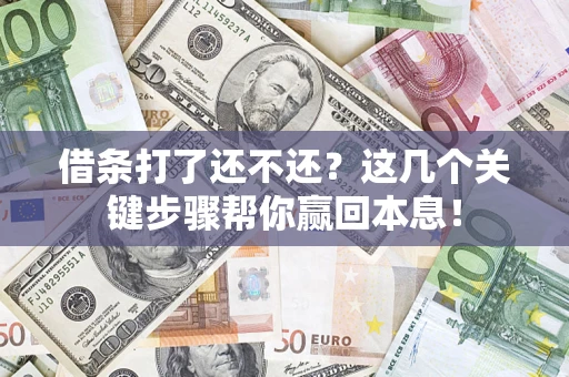 武汉借条打了还不还？这几个关键步骤帮你赢回本息！