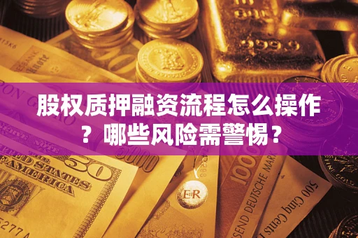 武汉股权质押融资流程怎么操作？哪些风险需警惕？