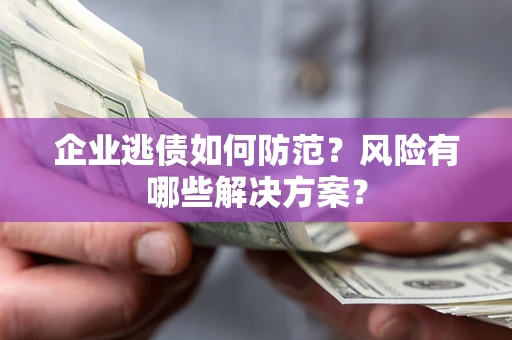 武汉企业逃债如何防范？风险有哪些解决方案？