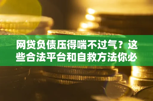 武汉网贷负债压得喘不过气？这些合法平台和自救方法你必须知道！