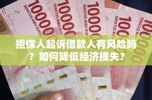 武汉担保人起诉借款人有风险吗？如何降低经济损失？