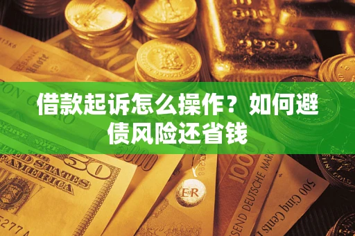 武汉借款起诉怎么操作？如何避债风险还省钱