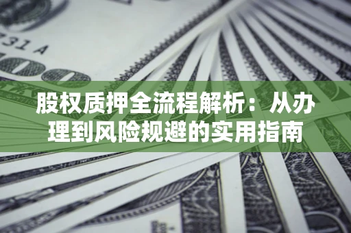 武汉股权质押全流程解析：从办理到风险规避的实用指南