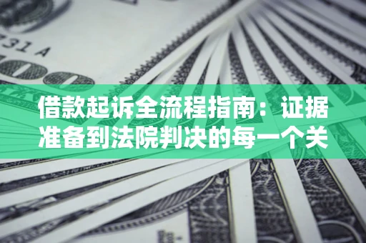 武汉借款起诉全流程指南：证据准备到法院判决的每一个关键步骤