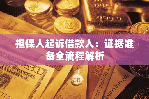 武汉担保人起诉借款人：证据准备全流程解析