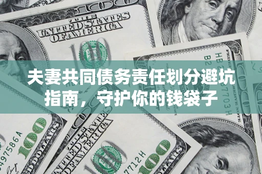 武汉夫妻共同债务责任划分避坑指南，守护你的钱袋子
