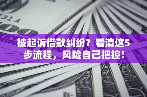 武汉被起诉借款纠纷？看清这5步流程，风险自己把控！