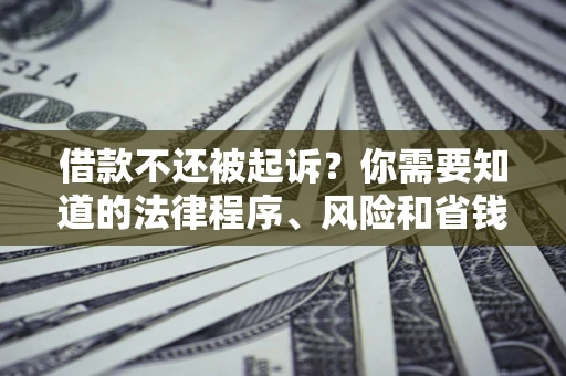 武汉借款不还被起诉？你需要知道的法律程序、风险和省钱技巧